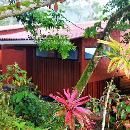 הוילה קרתגו Casitas Eco Bambu מראה חיצוני תמונה