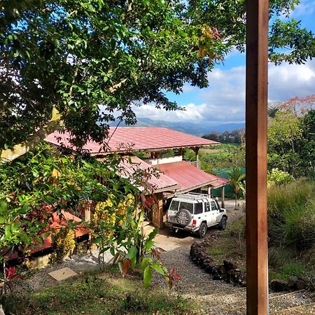 הוילה קרתגו Casitas Eco Bambu מראה חיצוני תמונה