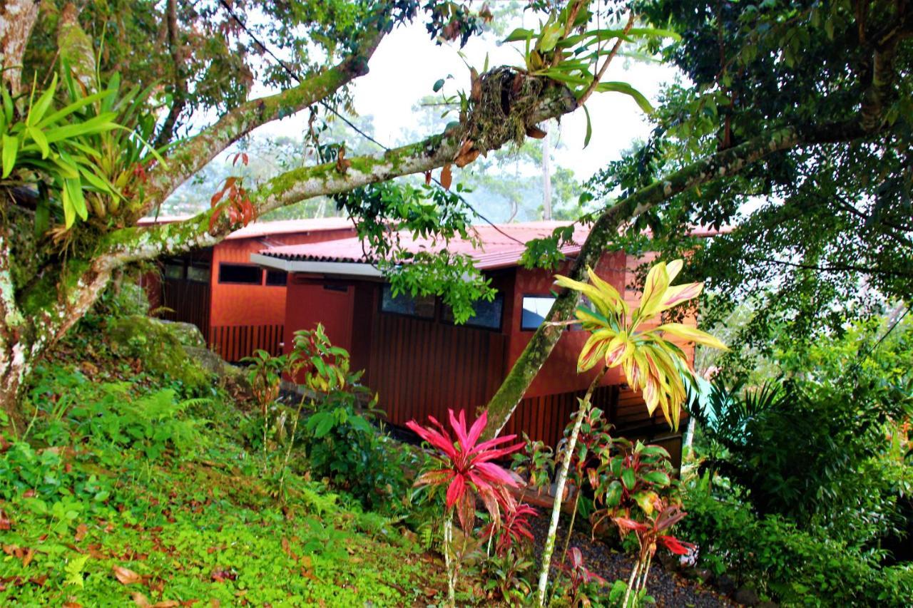הוילה קרתגו Casitas Eco Bambu מראה חיצוני תמונה