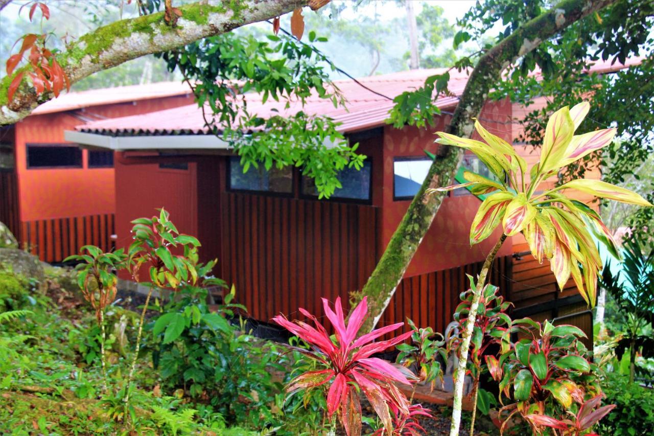 הוילה קרתגו Casitas Eco Bambu מראה חיצוני תמונה