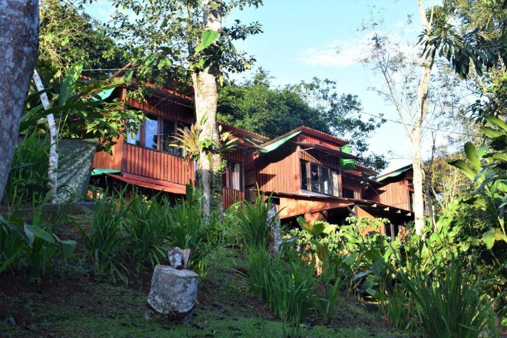 הוילה קרתגו Casitas Eco Bambu מראה חיצוני תמונה